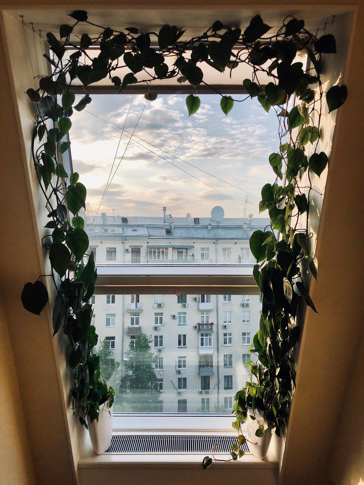 Пент Хаус 240 кв.м.