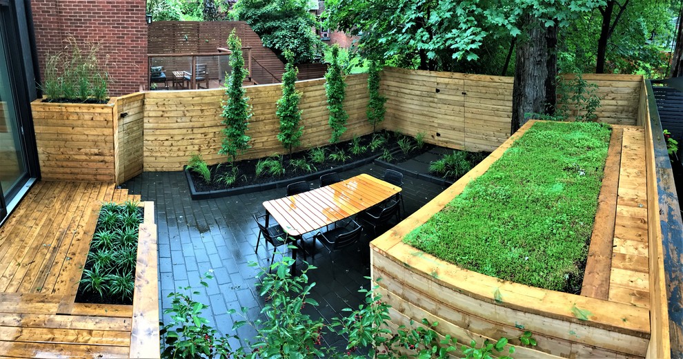 Small modern backyard partial sun garden in Toronto with a garden path and brick pavers for summer.