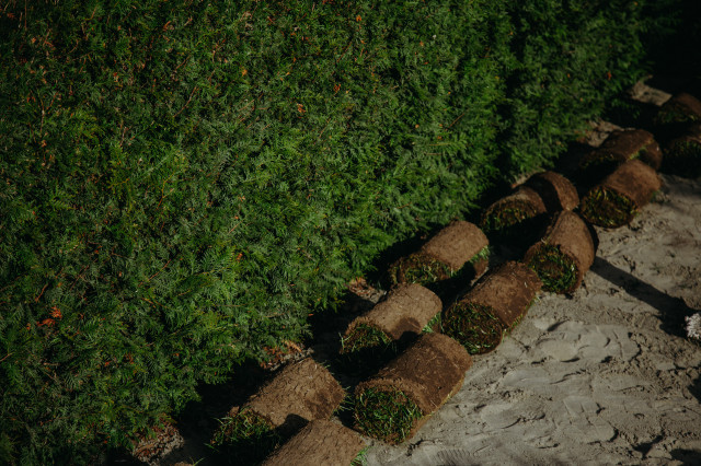 Монтаж системы автоматического полива и укладка рулонного газона в ...