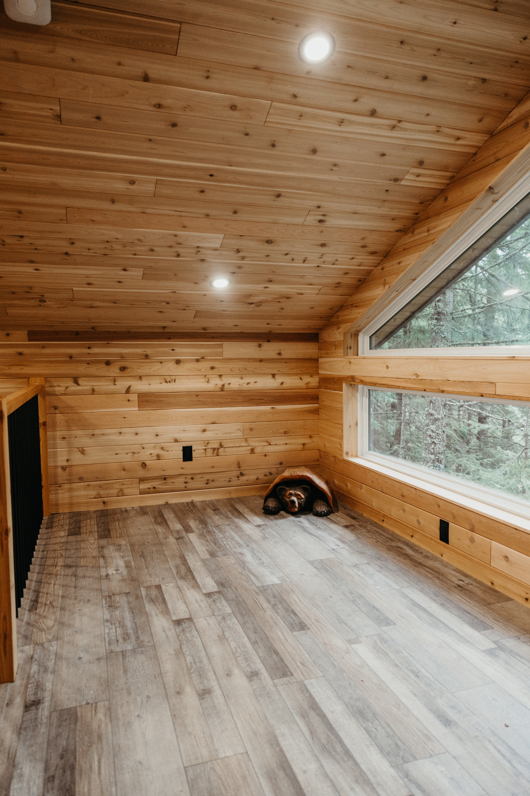 Cabin in the woods