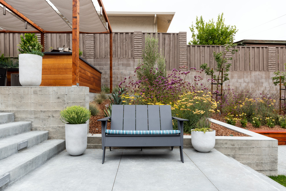 Foto di un grande giardino minimalista esposto in pieno sole dietro casa in estate con pavimentazioni in cemento