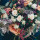 jacqui_glanville