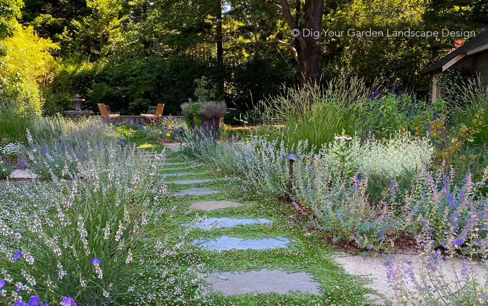 Idee per un grande giardino xeriscape stile americano esposto a mezz'ombra dietro casa in autunno con un ingresso o sentiero e pavimentazioni in pietra naturale