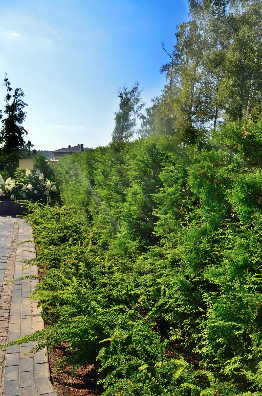 Монтевилль