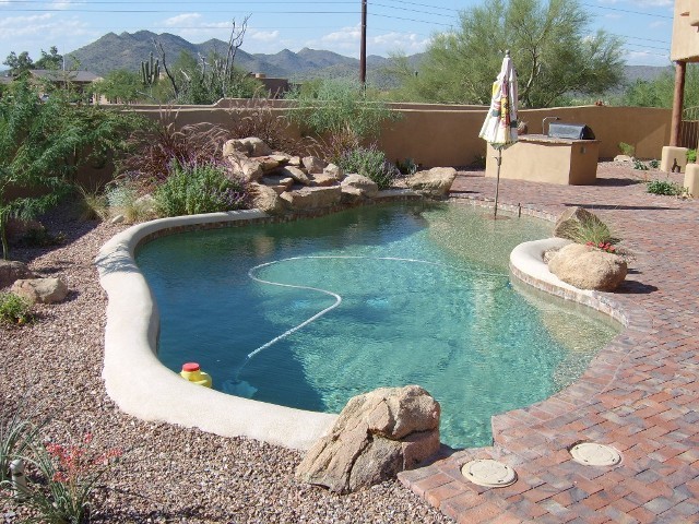 Pool - mid-sized backyard brick and kidney-shaped pool idea in Phoenix
