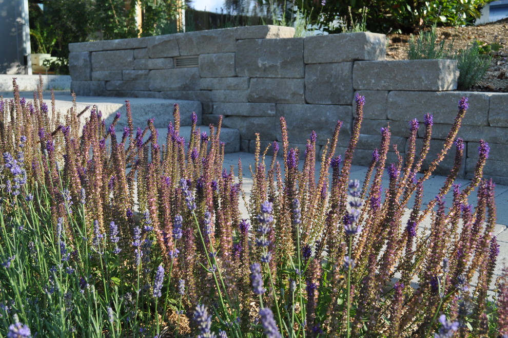 Große, Schattige Moderne Gartenmauer im Herbst, hinter dem Haus mit Natursteinplatten in Sonstige