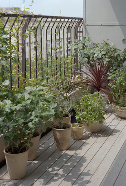 watering for Two moderno-portico