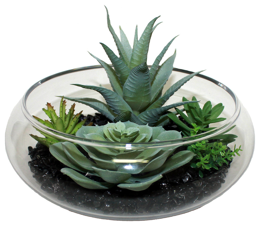 Succulent Dish Garden On Black Stones In 7 Glass Container Artificial Plants And Trees By Worth Imports Houzz