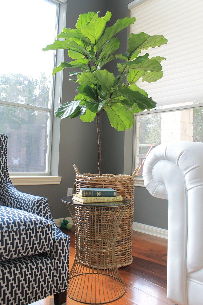 Home design - contemporary home design idea in Austin