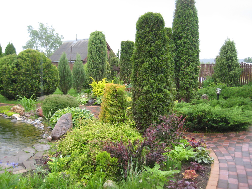 Хвойная идиллия