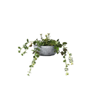 10" Small Artificial Potted Trailing Sedum- Threshold™ designed with Studio McGee