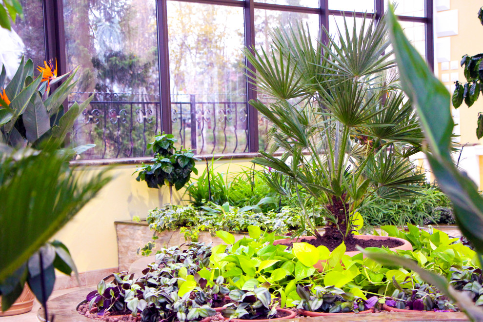 Мурманск, зимний сад