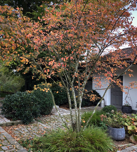 Landhaus Garten Garten München von Soulgarden by Alexandra Lehne