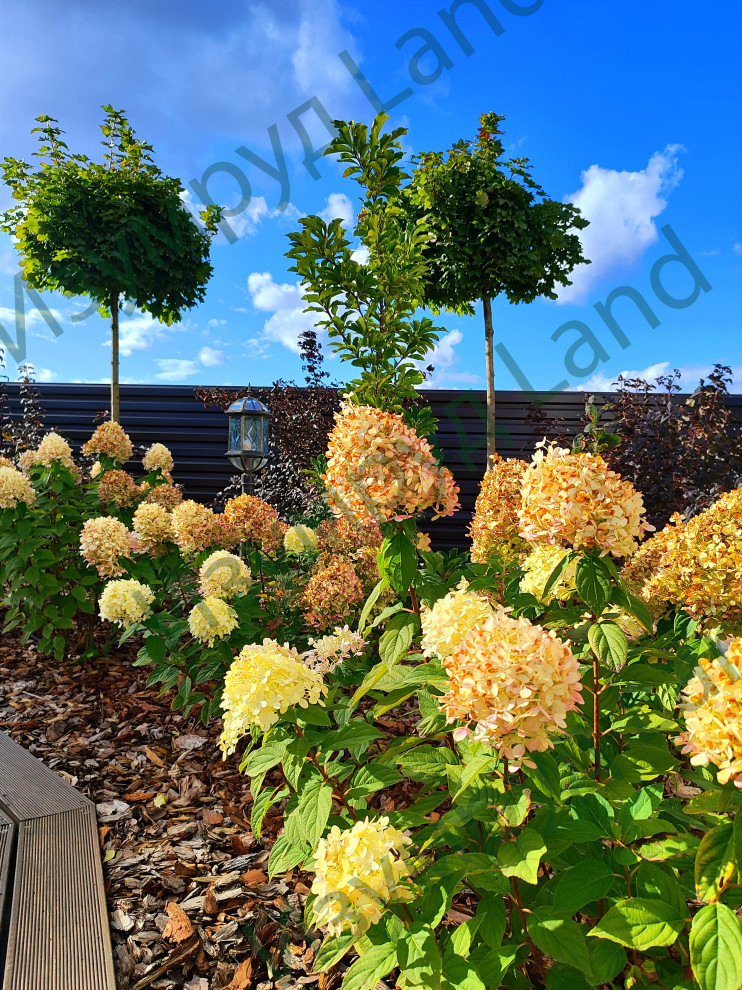 Примеры наших работ