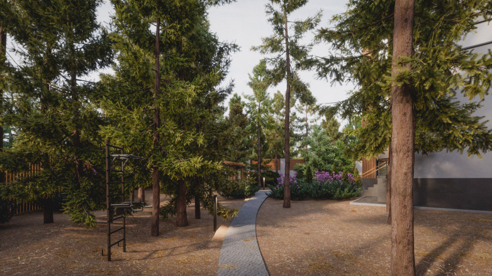 Завораживающий лес