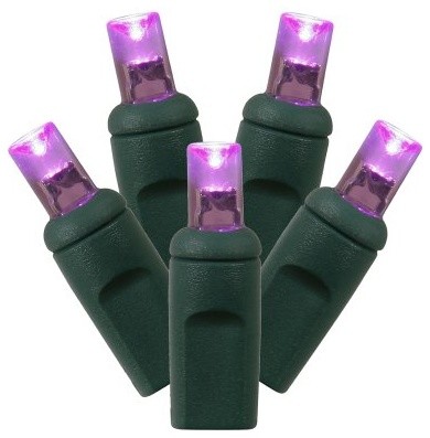 Vickerman 100 ct. Purple Wide Angle LED Lights with Green Wire 4 in. Spacing