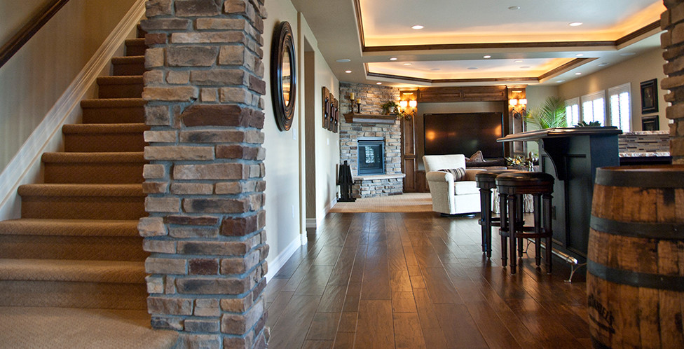 Mountain style basement photo in Denver