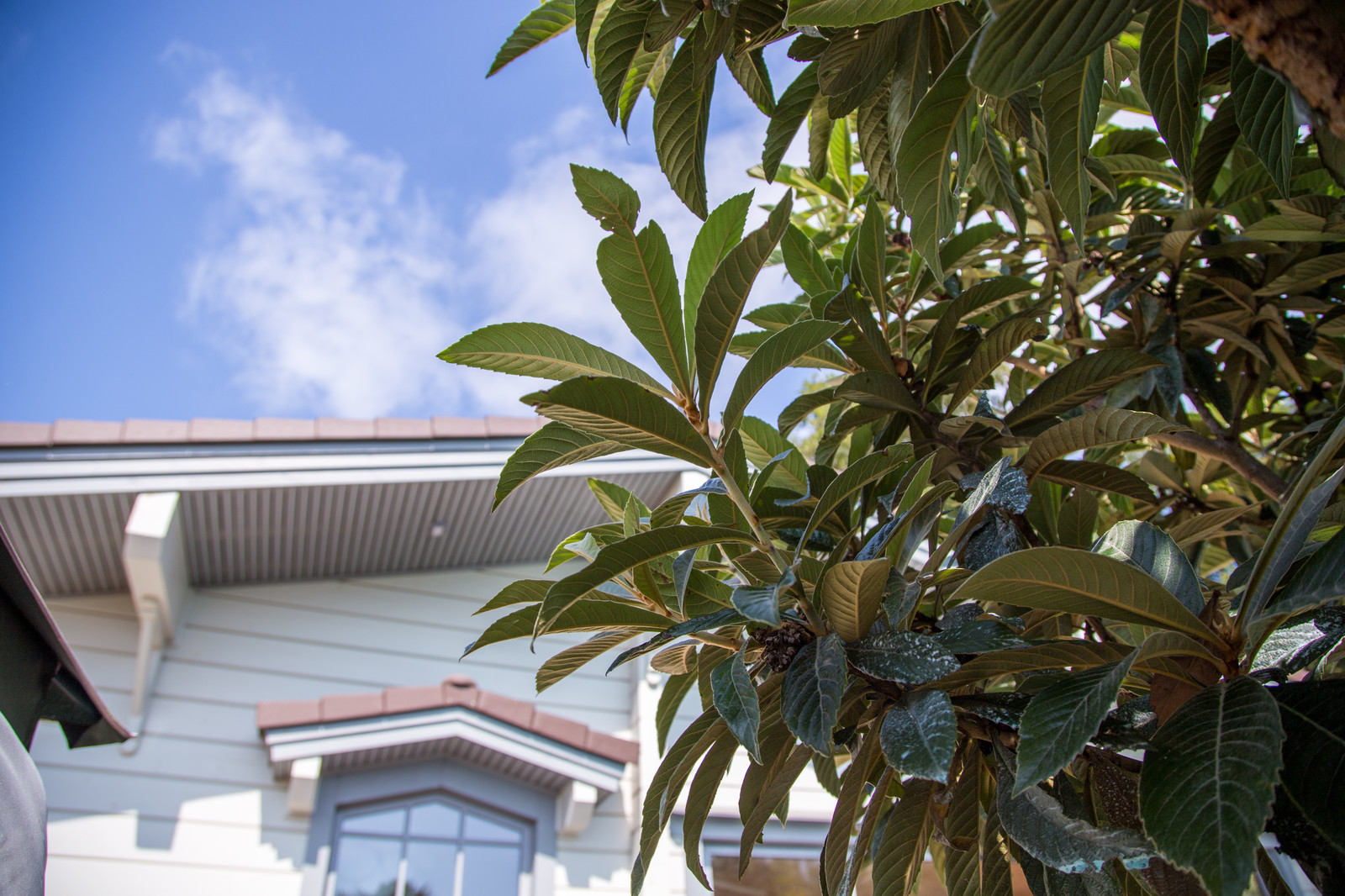 Ландшафтный Дизайн Олимпийский Сочи