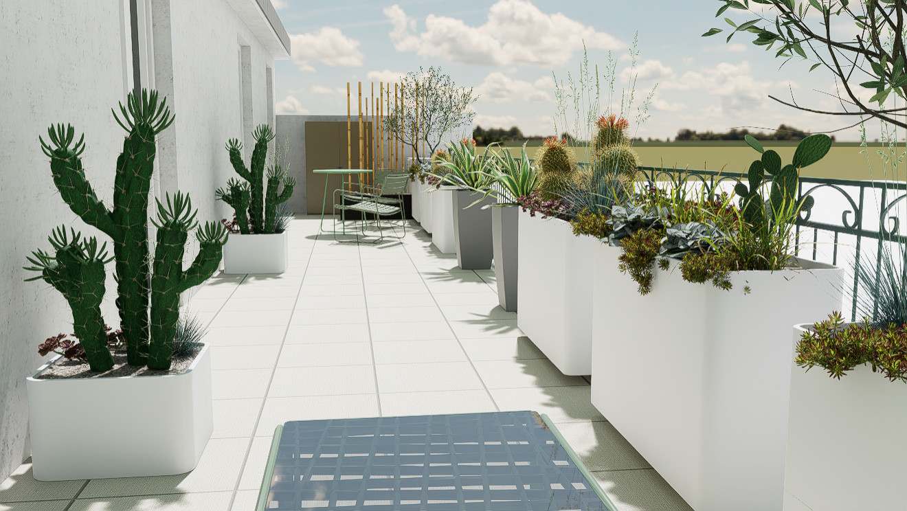 Urban succulents: suggestioni desertiche