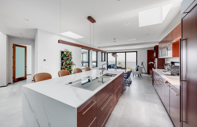 houzz fireplace doors