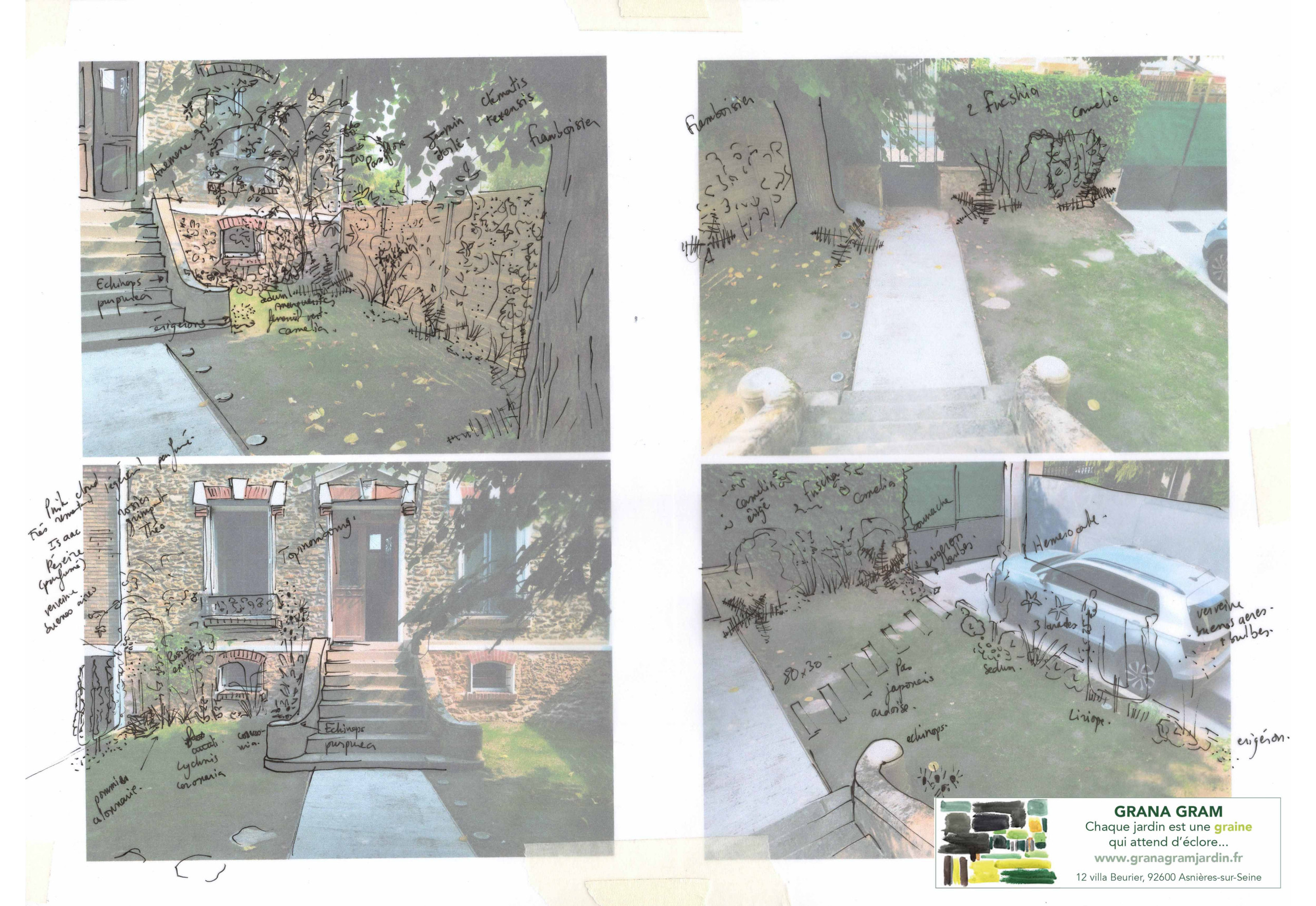 Conception - Jardin de ville de 50 m2