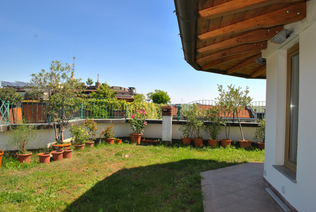 Fiordalisi trendy-terrasse