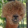 kevin_phelps71