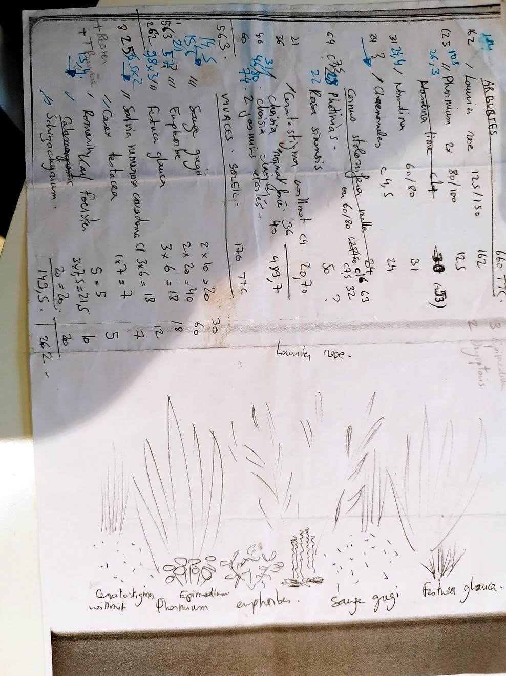 Croquis du massif et budget de fleurs et végétaux
