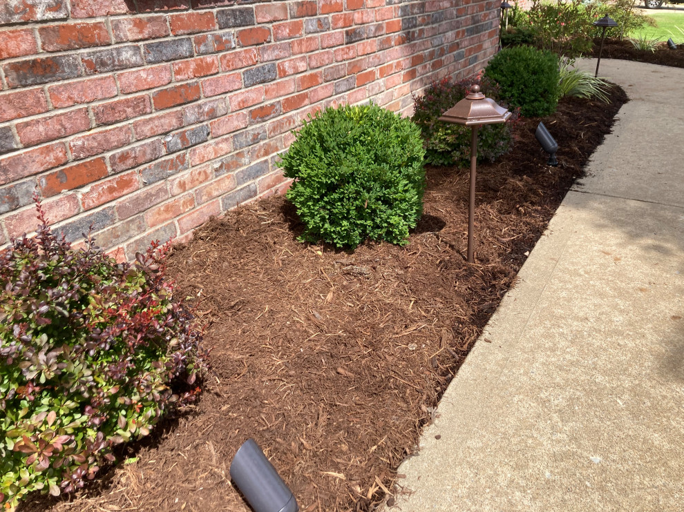 Landscape Lighting and Landscaping