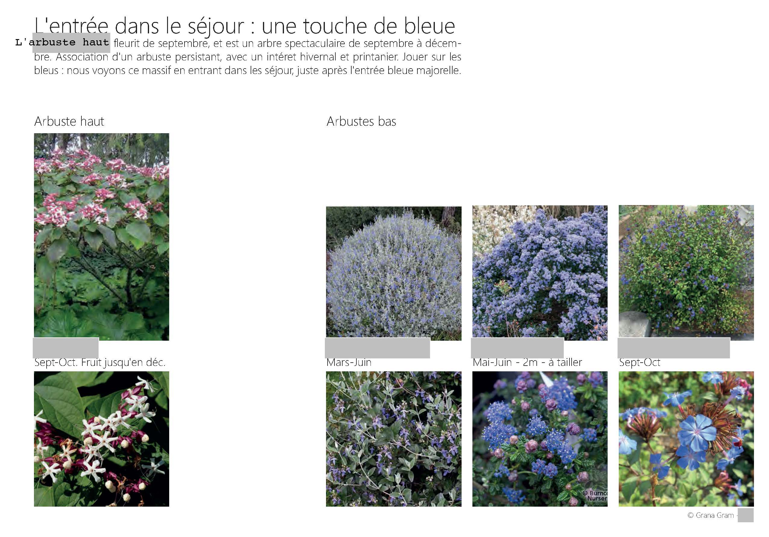 Projet : palette végétale