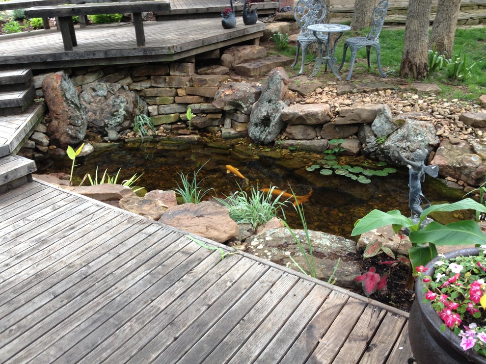 Ecosystem Koi Ponds and Water Gardens By Continental Ponds