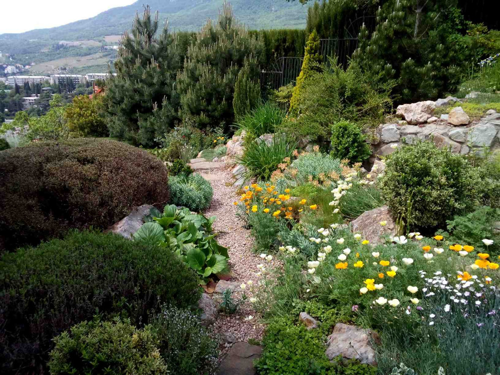 This is an example of a mediterranean sloped xeriscape in Other with with path and decomposed granite.