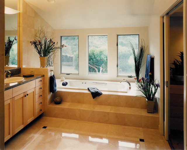Master bath contemporaneo-stanza-da-bagno