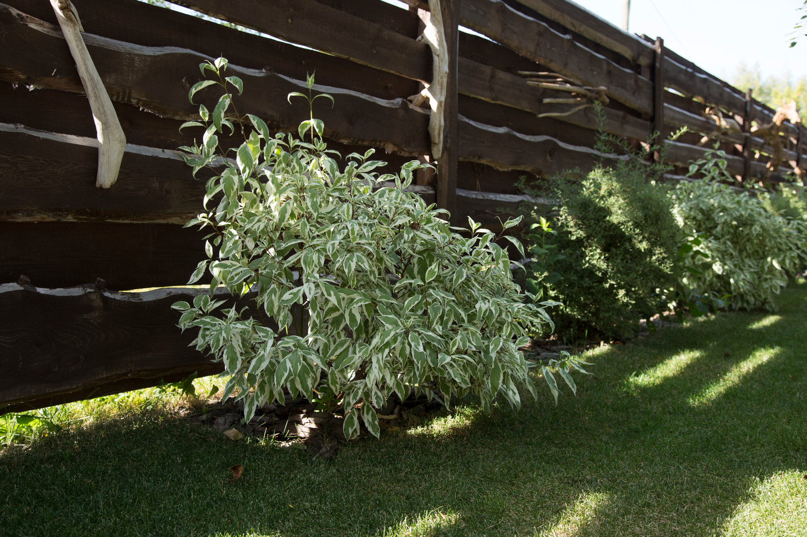Ландшафтный дизайн участка на Каме