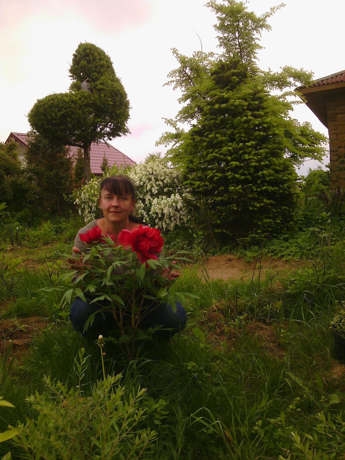 Наш собственный сад