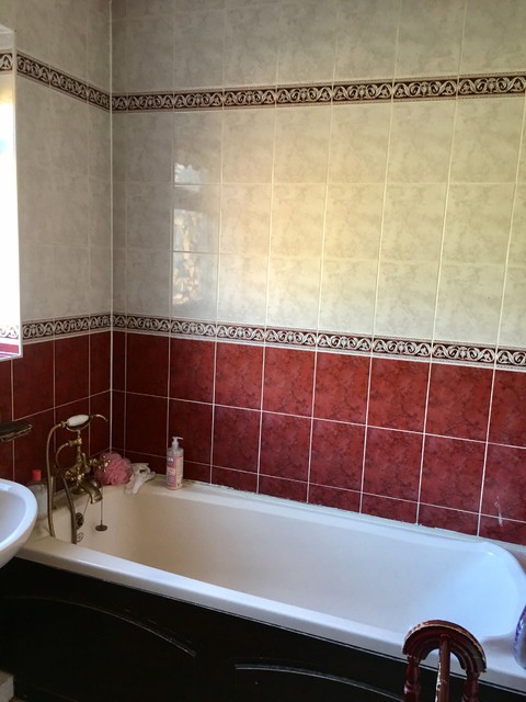 Light Modern Bathroom for Teenage Girls american-traditional
