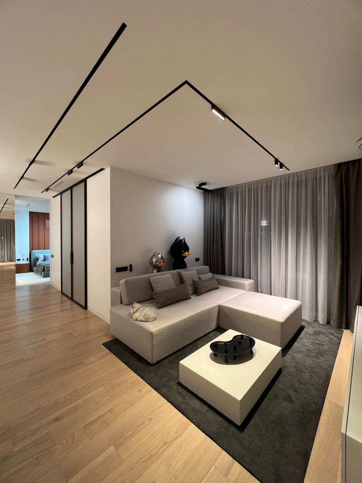 Фотосессия  - двери, мебель и перегородки в московской квартире