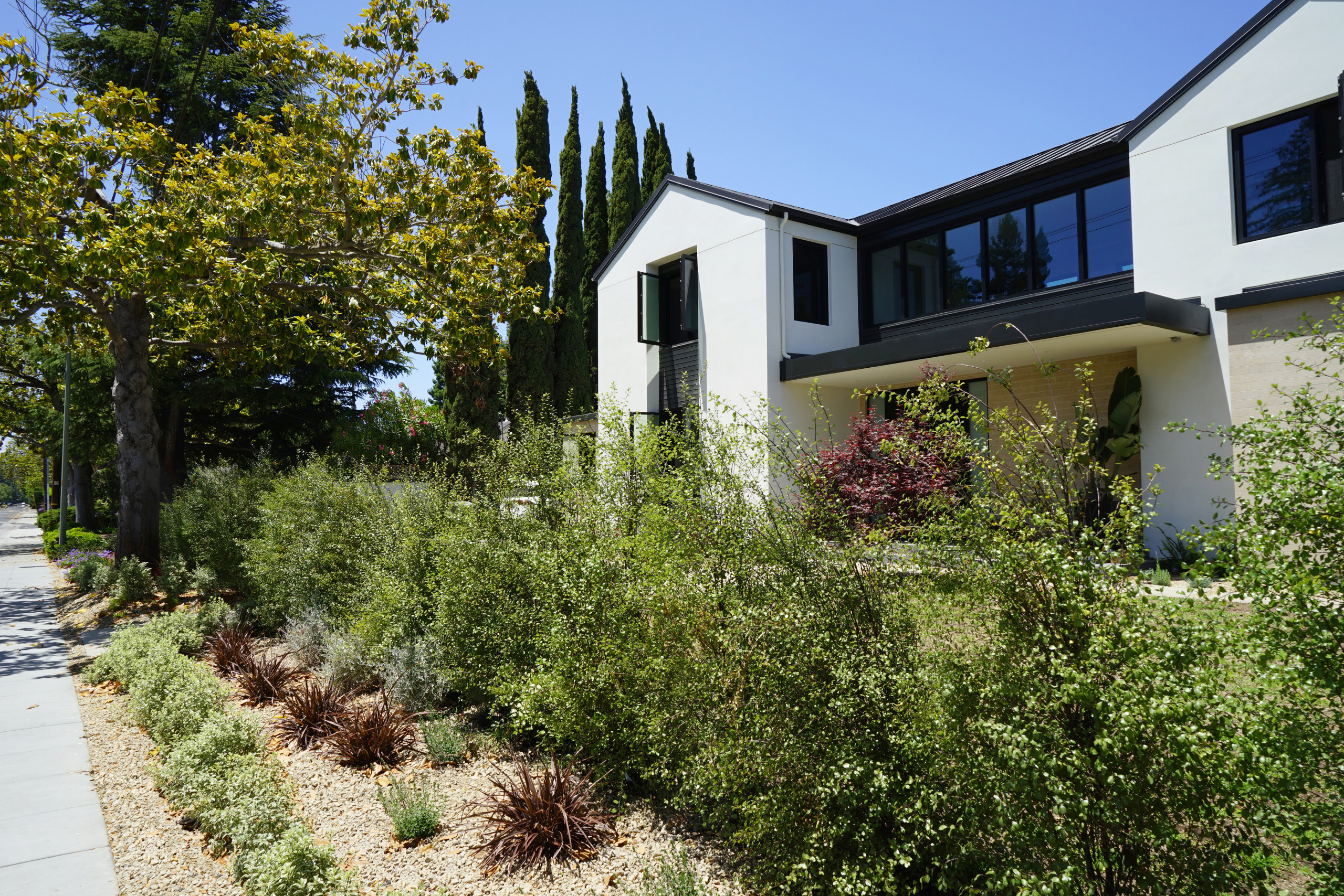 Palo Alto Mediterranean Landscape