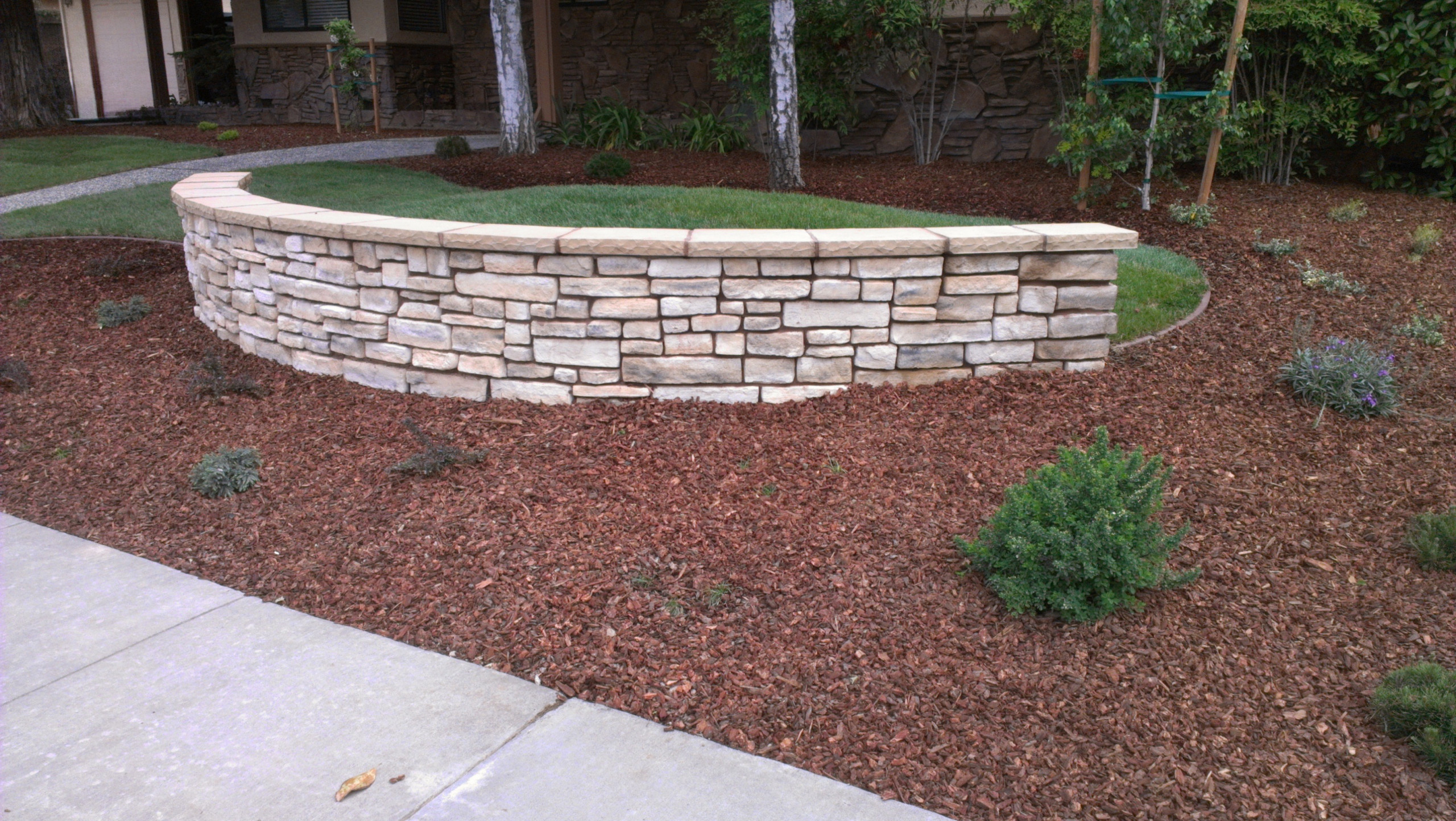 Front Yard Beautification