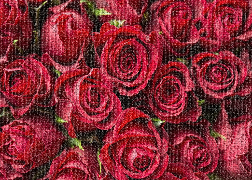 Red Roses Area Rug, 5'0"x7'0"