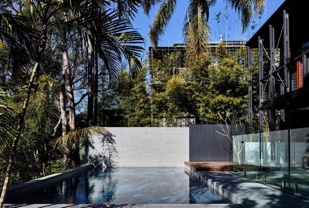 Mittelgroßes, Gefliestes Retro Sportbecken hinter dem Haus in rechteckiger Form mit Sichtschutz in Brisbane