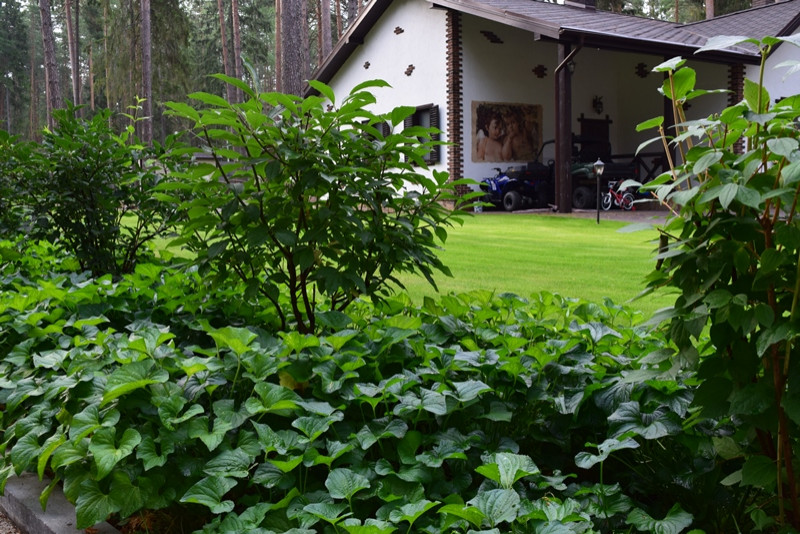 «Пряничный домик» в сосновом бору