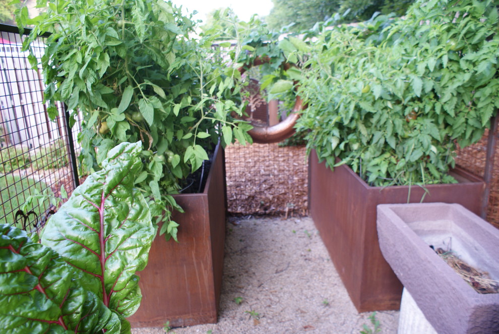 Maple Grove Steel Garden