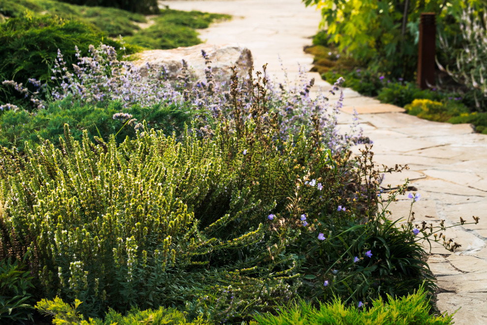 Сад Алгоритм