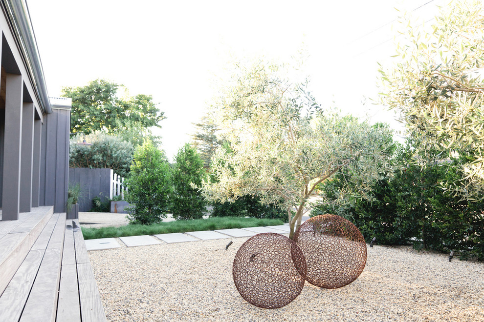 Inspiration for a transitional backyard garden in San Francisco with gravel.