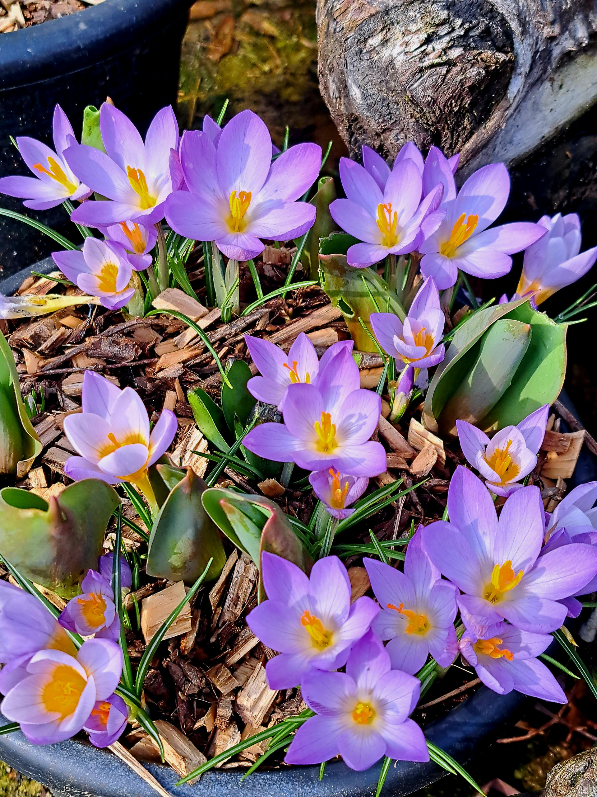 Bellezze naturali