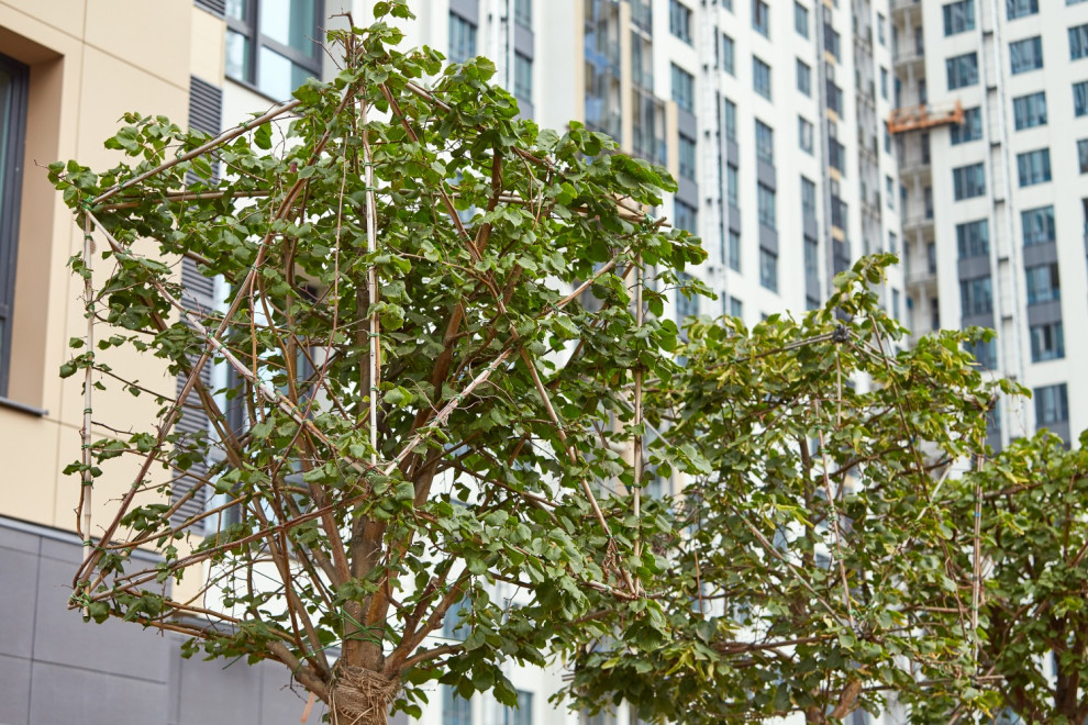 ЖК "Макаровский квартал"