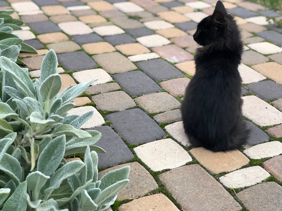 Сад "Каликат"