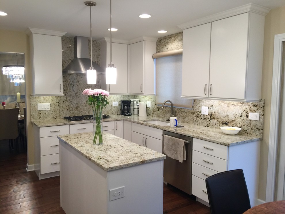 Transitional kitchen photo in Chicago