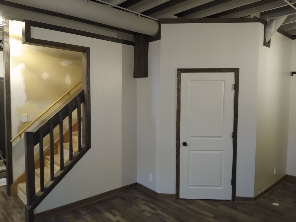 Basement Remodel